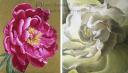Peony & Gardenia Paintings