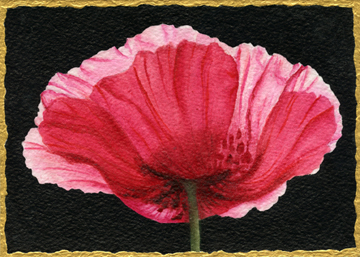Poppy Painting for Norway
